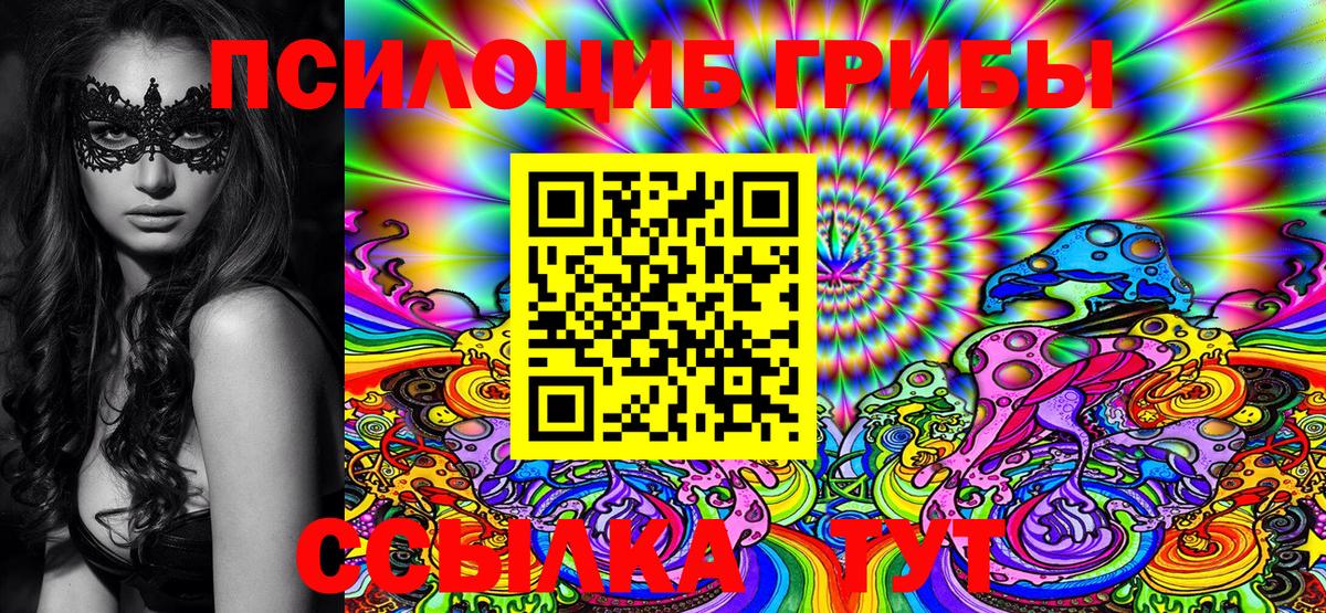 Галлюциногенные грибы Psilocybe Соликамск